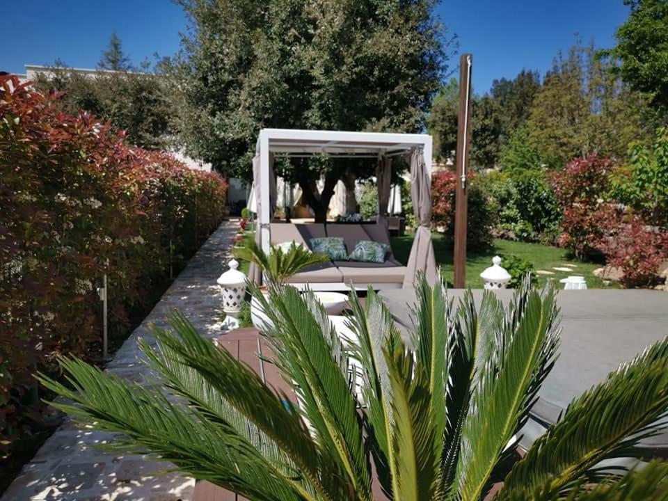 Le Lamie di Olimpe Apulia Dream B&B מראה חיצוני תמונה
